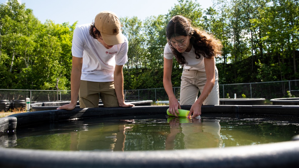 Two people standing over a water-filled pond.