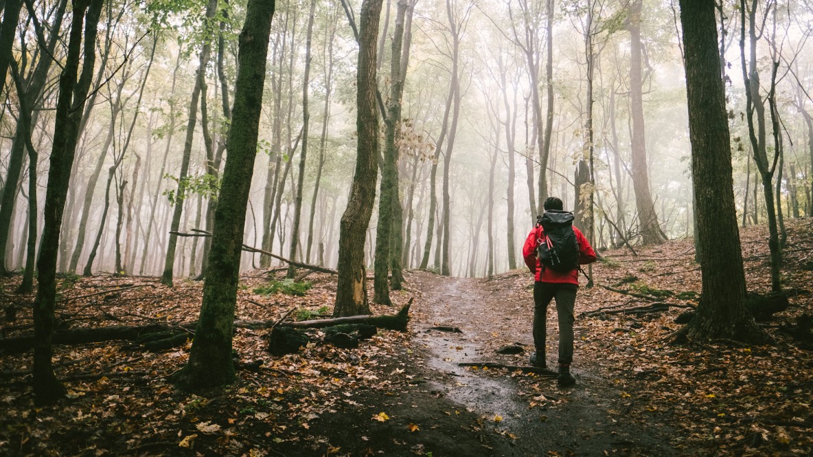 Un randonneur sur un sentier brumeux.