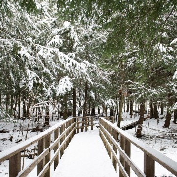 Une passerelle enneigée.