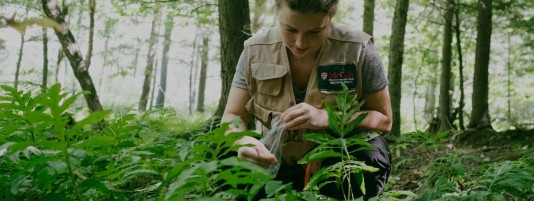 Photo of a woman sampling plants in a forest.