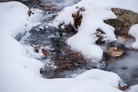 Un ruisseau coule malgré la neige et la glace qui l'entoure.