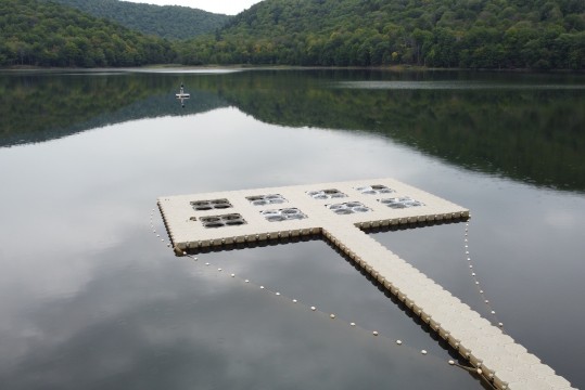 Quatre chercheurs manipulent de l'équipement autour des mésocosmes du lac Hertel