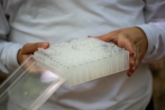 A researchers holds a clear box filled with numbered vials.