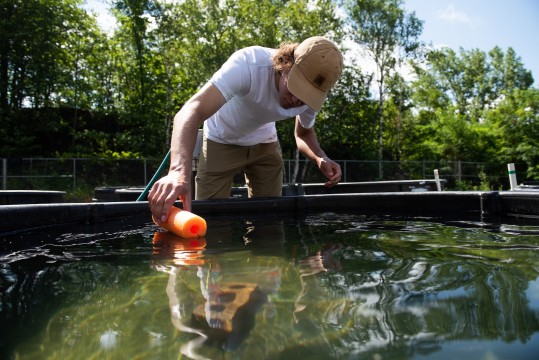 A researcher (a man) bends over an experimental pond to retrieve a buoy