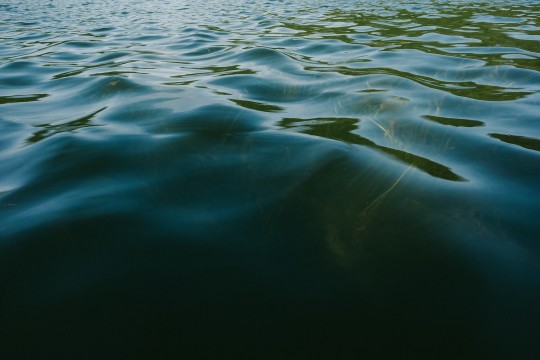 Photo of the surface of a lake with small waves.