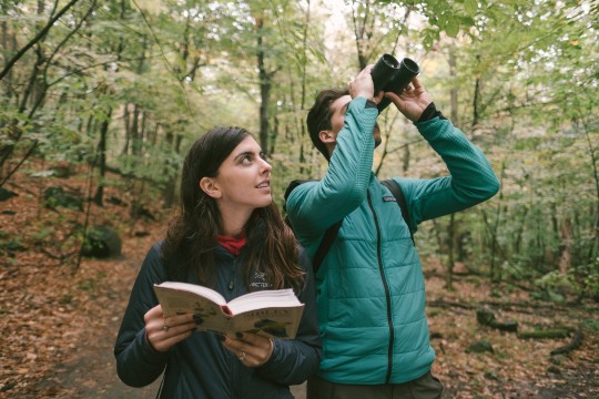 A woman is holding a bird identification guide as a man standing next to her looks up through binoculars.