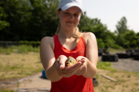 A researcher shows one of the fish.