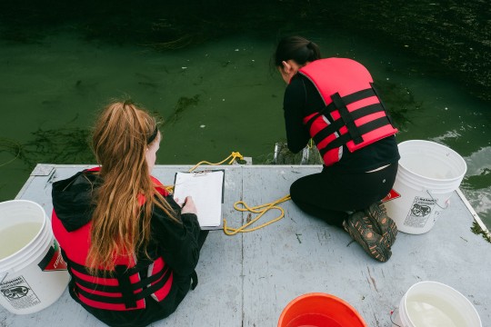 Deux étudiantes sont sur un ponton sur le lac Hertel. Une étudiante prend des notes pendant que l'autre sort un piège à poissons de l'eau.