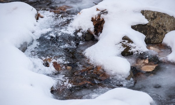 Un ruisseau coule en hiver.