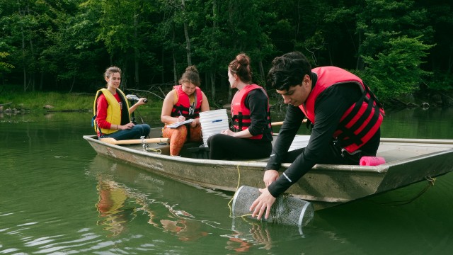 Four biology students in a rowboat take samples in a lake.