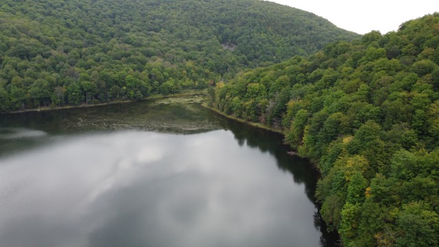 Photo aérienne d'un lac dans une forêt.