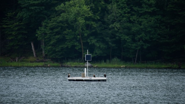 A buoy equipped with scientific equipment and a solar panel on a lake.