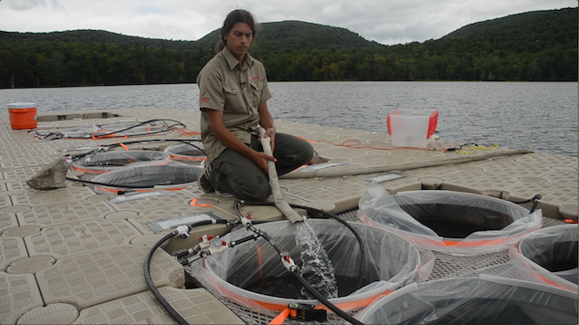 Egor Katkov fills a bag with water from Lake Hertel