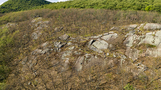 Photo aérienne d'un secteur de forêt sans feuilles