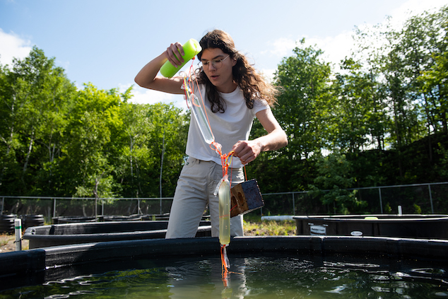 A woman lifts two bags our of a water-filled basin attached to a brick and a pool noodle.