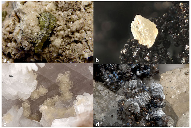 Four photographs of four specimens of Alicewilsonite-(YCe). It is a green, yellow, or white crystal that forms spindles and plates, in all four photos seen growing out of or on top of a different mineral.