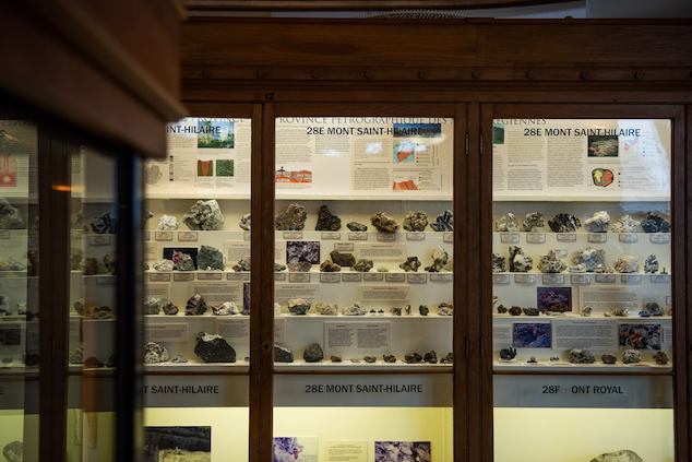Plus de 50 spécimens de minéraux sont exposés sur des tablettes derrière la vitre d’un meuble en bois sombre au musée Redpath de McGill. Des étiquettes indiquent le type de minéral, mais elles sont illisibles à cette distance.