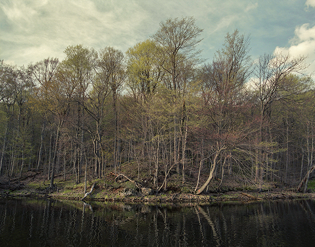 La berge d'un lac avec plusieurs arbres sans feuilles