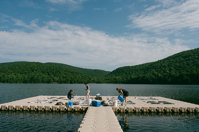 Des chercheuses déplacent du matériel et prennent des échantillons sur un quai dans un lac.